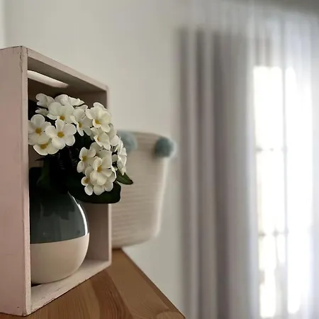 Apartamento Muy Centrico En